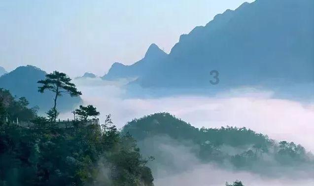 小猫钓鱼开船版最新版下载